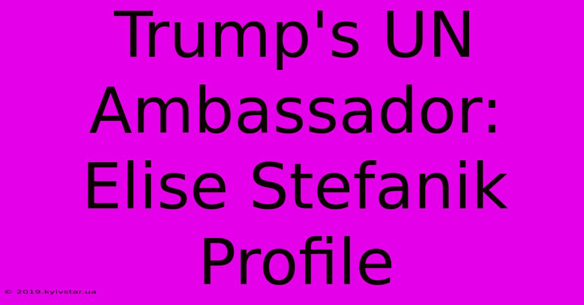 Trump's UN Ambassador: Elise Stefanik Profile