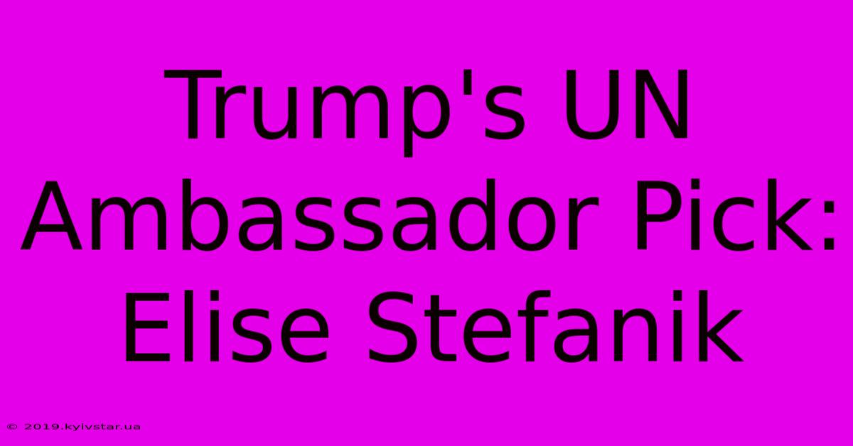 Trump's UN Ambassador Pick: Elise Stefanik 