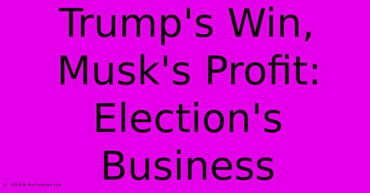 Trump's Win, Musk's Profit: Election's Business