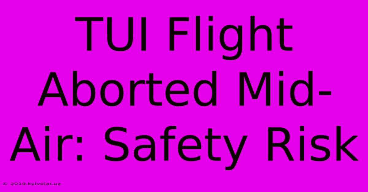 TUI Flight Aborted Mid-Air: Safety Risk