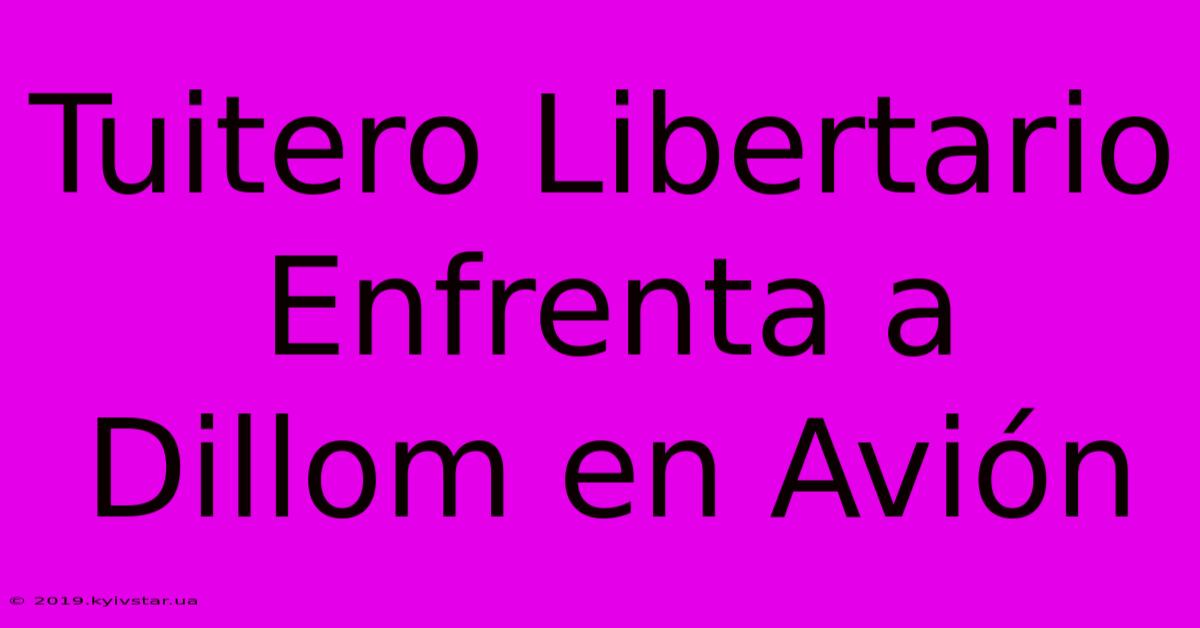 Tuitero Libertario Enfrenta A Dillom En Avión