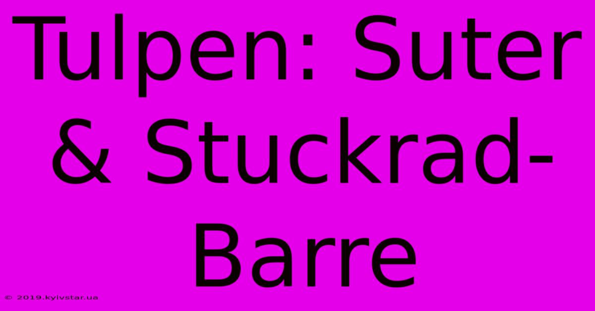 Tulpen: Suter & Stuckrad-Barre