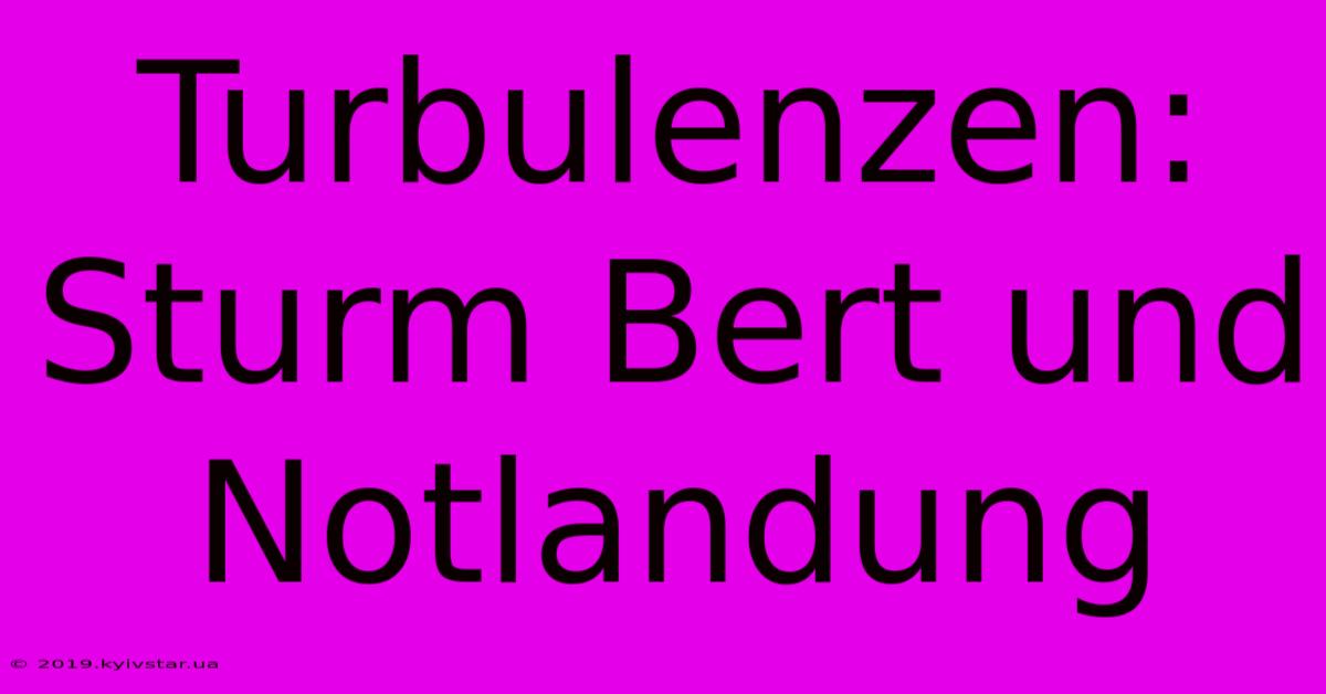 Turbulenzen:  Sturm Bert Und Notlandung