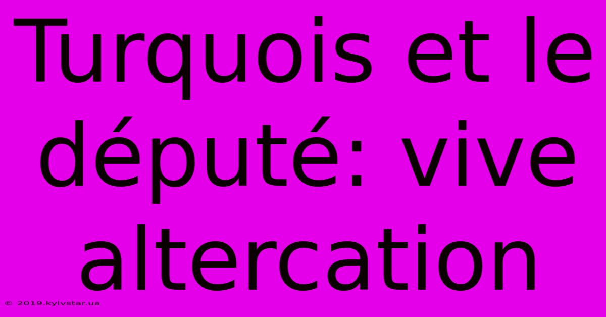 Turquois Et Le Député: Vive Altercation