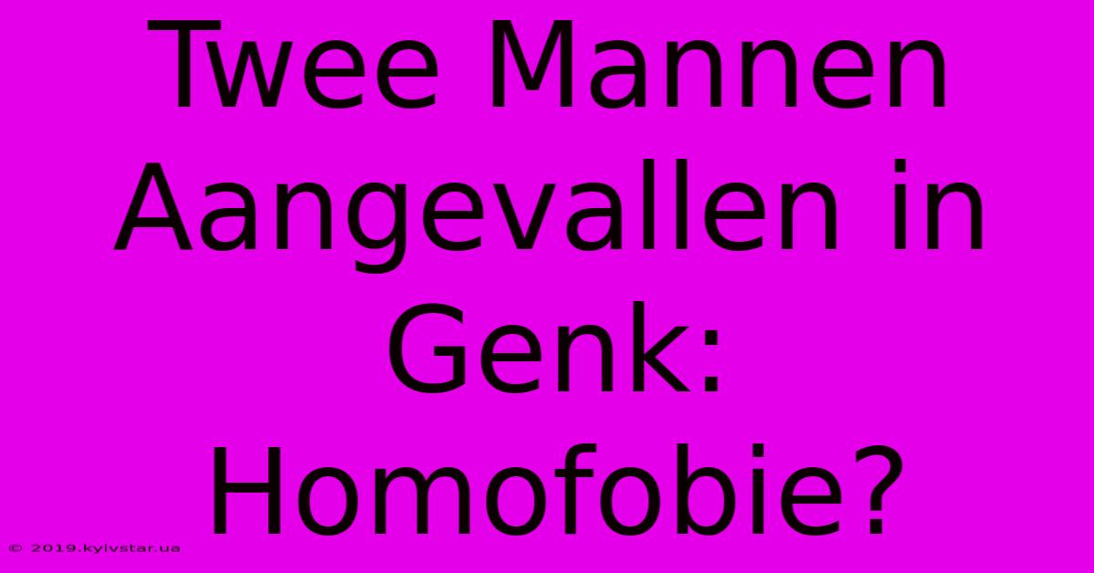 Twee Mannen Aangevallen In Genk: Homofobie? 