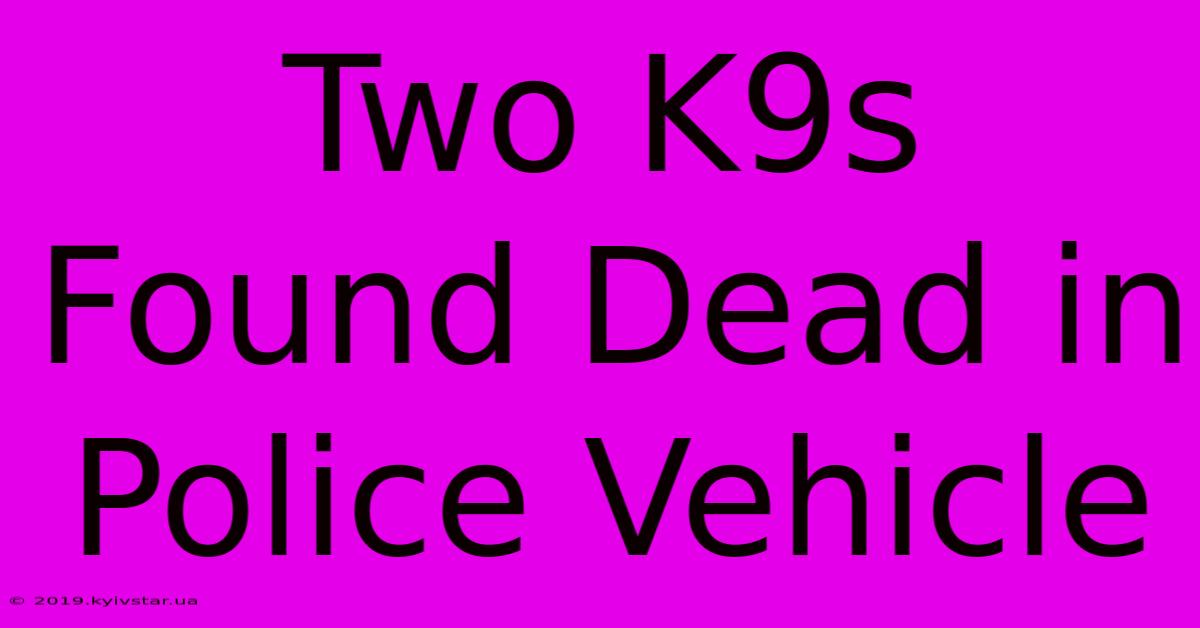 Two K9s Found Dead In Police Vehicle