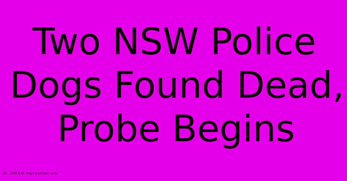 Two NSW Police Dogs Found Dead, Probe Begins