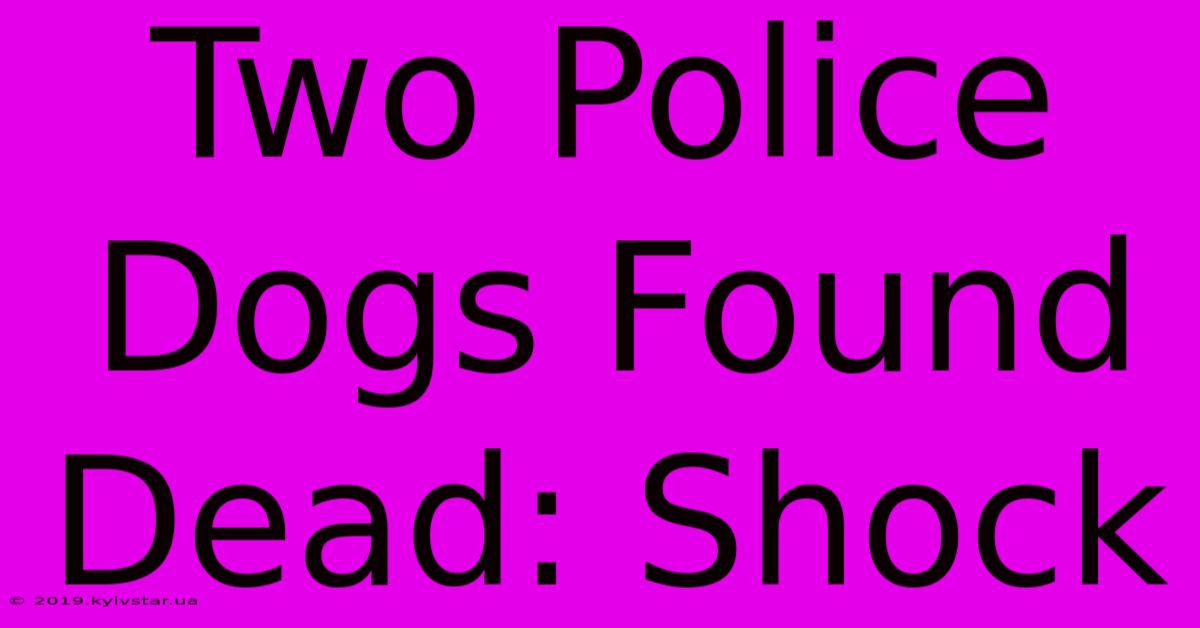 Two Police Dogs Found Dead: Shock