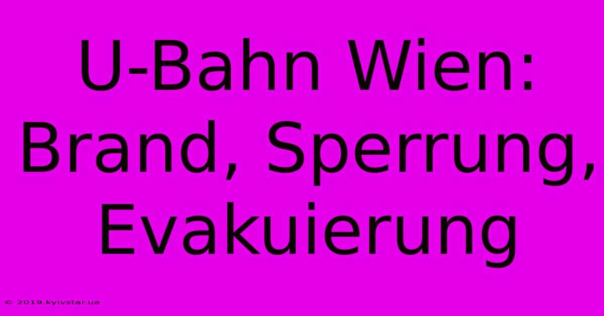 U-Bahn Wien: Brand, Sperrung, Evakuierung