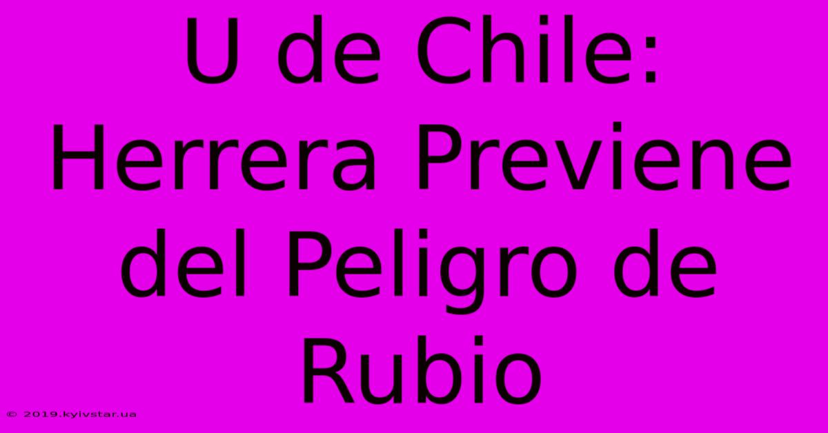 U De Chile: Herrera Previene Del Peligro De Rubio