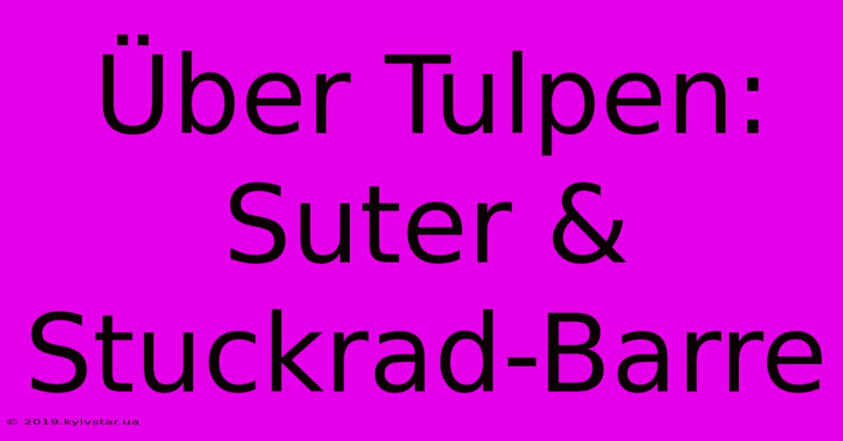 Über Tulpen: Suter & Stuckrad-Barre