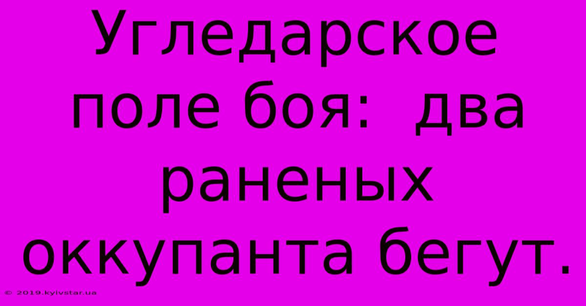 Угледарское Поле Боя:  Два Раненых Оккупанта Бегут.