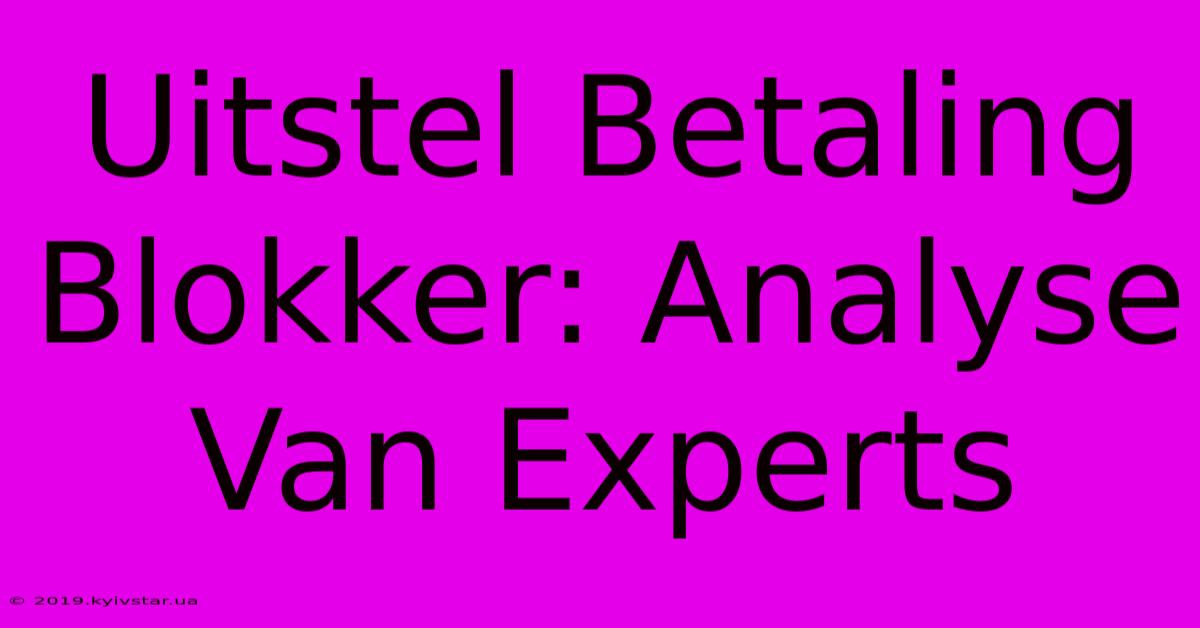 Uitstel Betaling Blokker: Analyse Van Experts