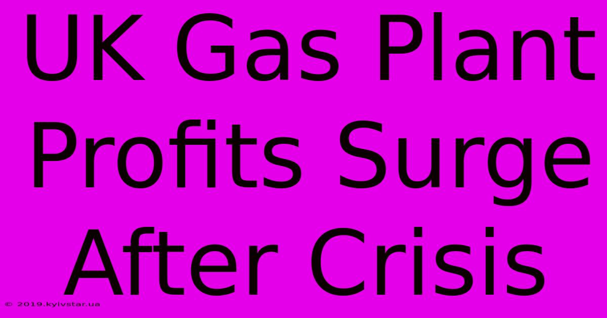 UK Gas Plant Profits Surge After Crisis