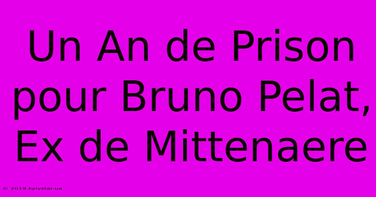 Un An De Prison Pour Bruno Pelat, Ex De Mittenaere 