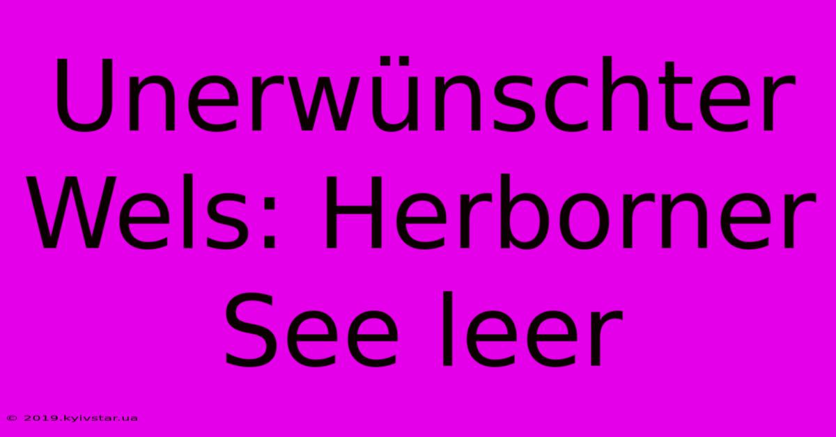 Unerwünschter Wels: Herborner See Leer