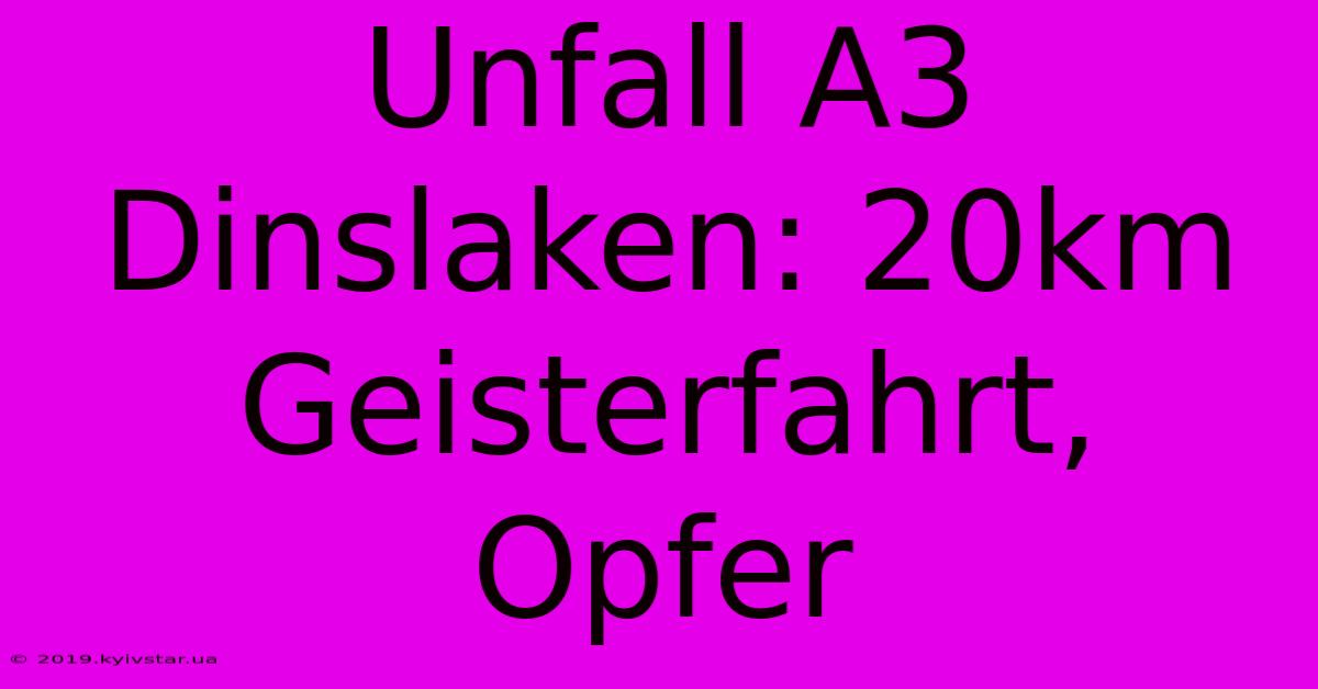 Unfall A3 Dinslaken: 20km Geisterfahrt, Opfer