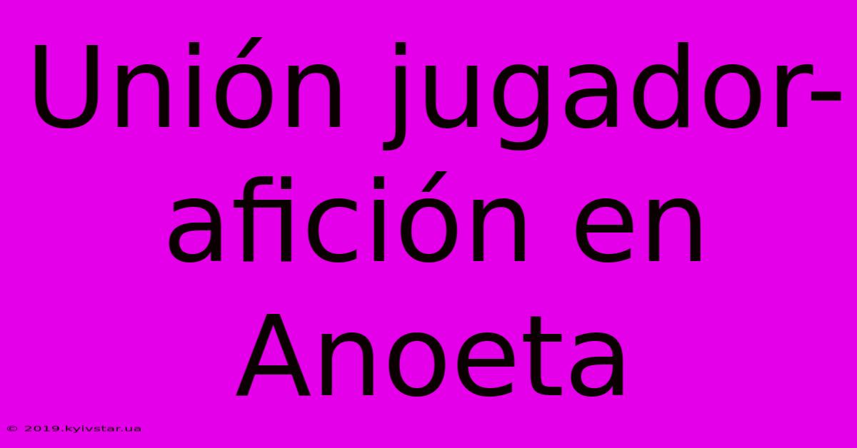 Unión Jugador-afición En Anoeta