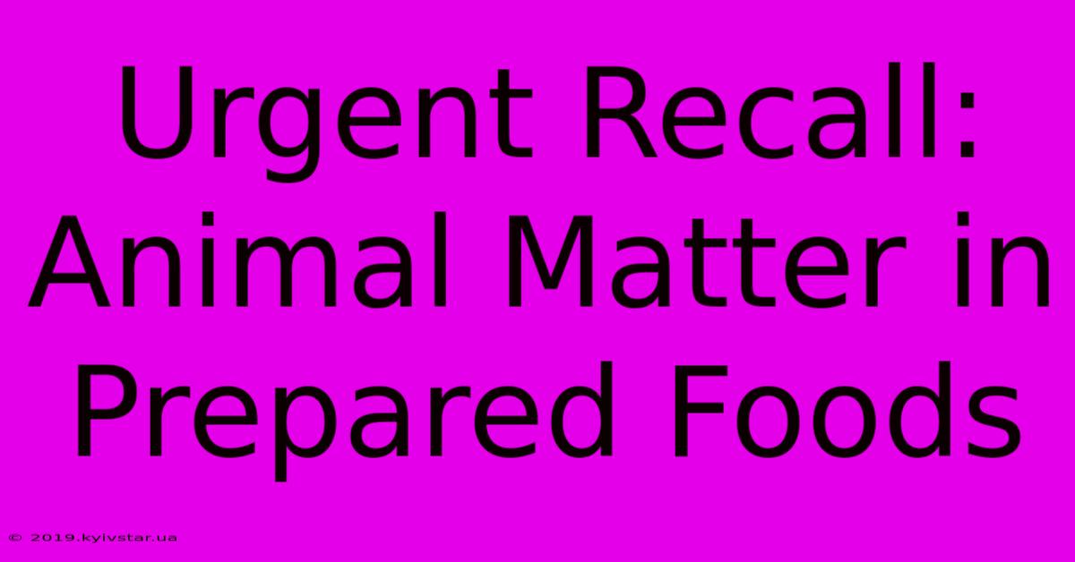 Urgent Recall: Animal Matter In Prepared Foods