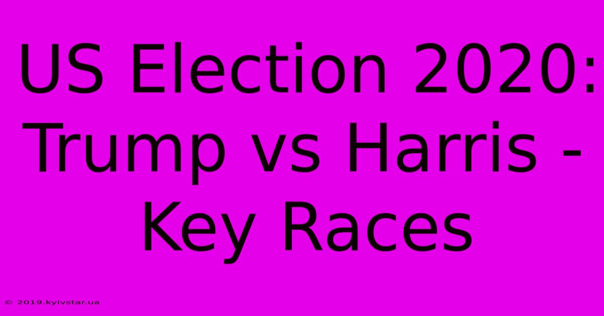 US Election 2020: Trump Vs Harris - Key Races