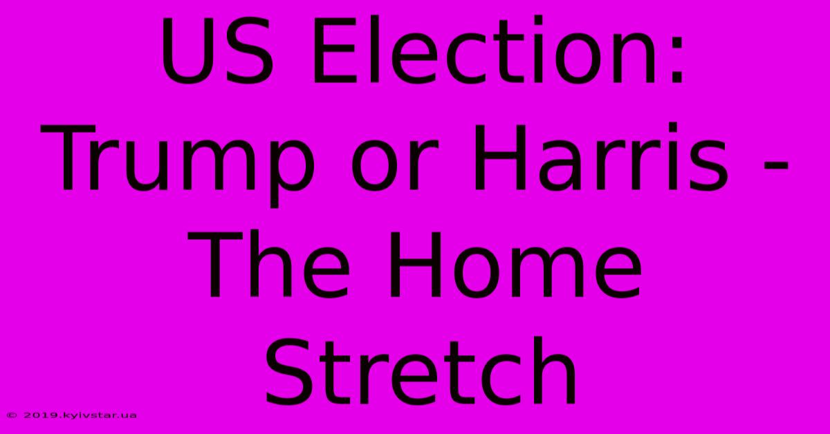 US Election: Trump Or Harris - The Home Stretch