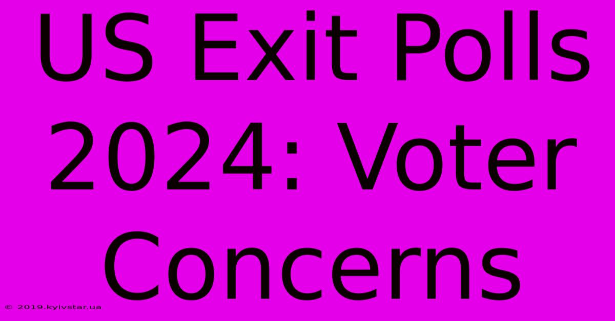 US Exit Polls 2024: Voter Concerns