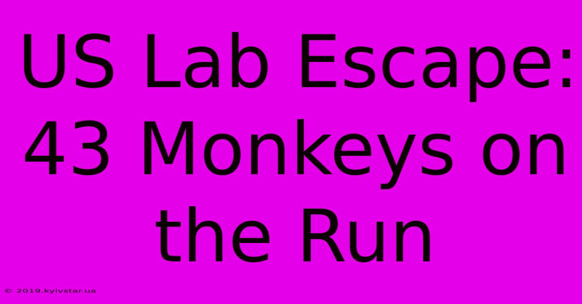 US Lab Escape: 43 Monkeys On The Run