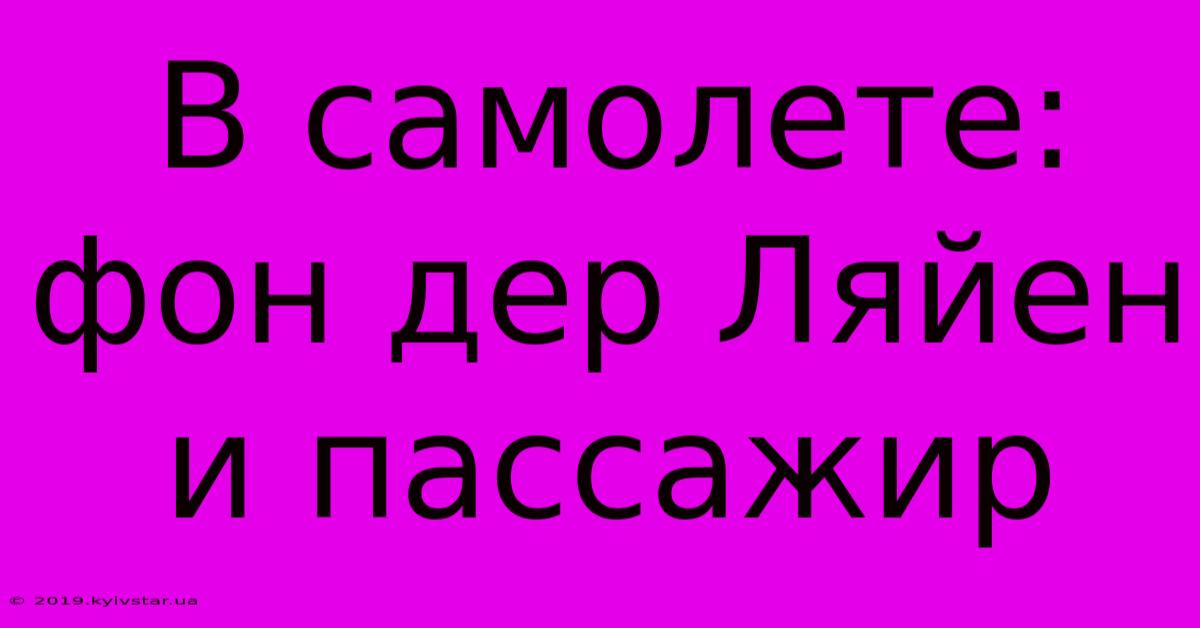 В Самолете: Фон Дер Ляйен И Пассажир