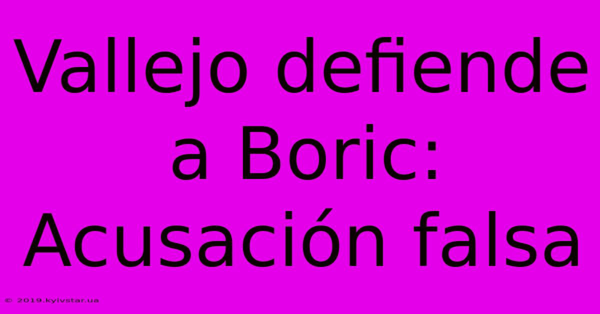 Vallejo Defiende A Boric: Acusación Falsa