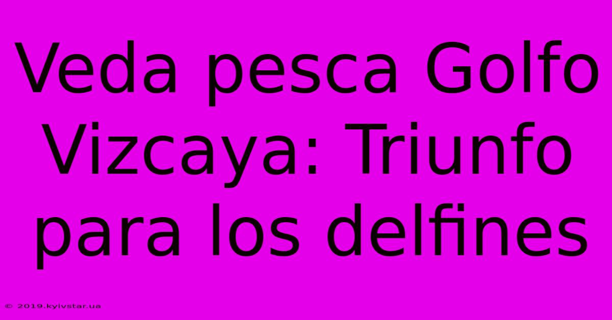 Veda Pesca Golfo Vizcaya: Triunfo Para Los Delfines