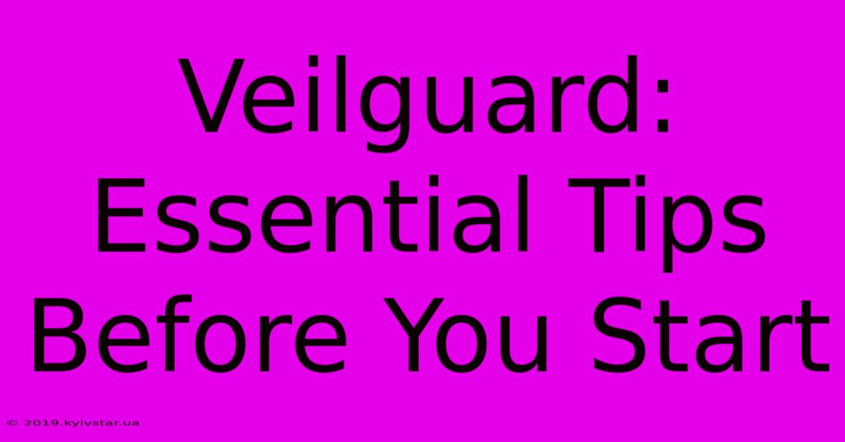 Veilguard: Essential Tips Before You Start