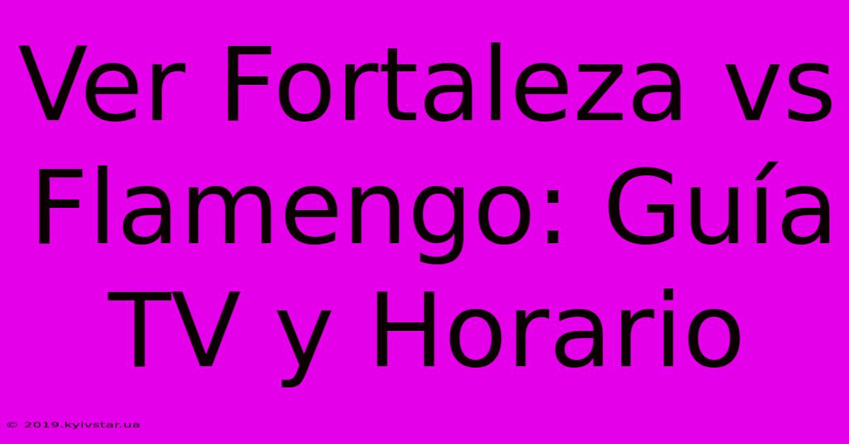 Ver Fortaleza Vs Flamengo: Guía TV Y Horario