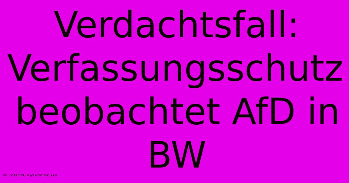 Verdachtsfall: Verfassungsschutz Beobachtet AfD In BW