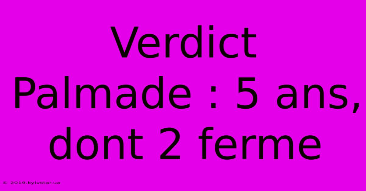 Verdict Palmade : 5 Ans, Dont 2 Ferme