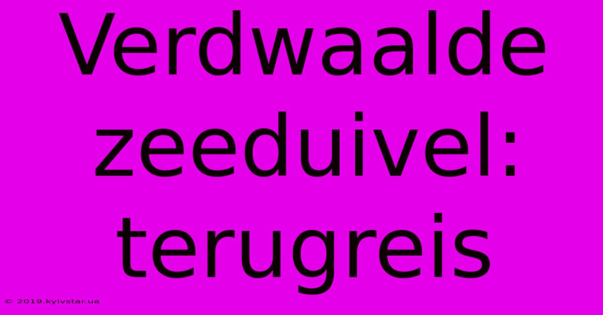 Verdwaalde Zeeduivel: Terugreis