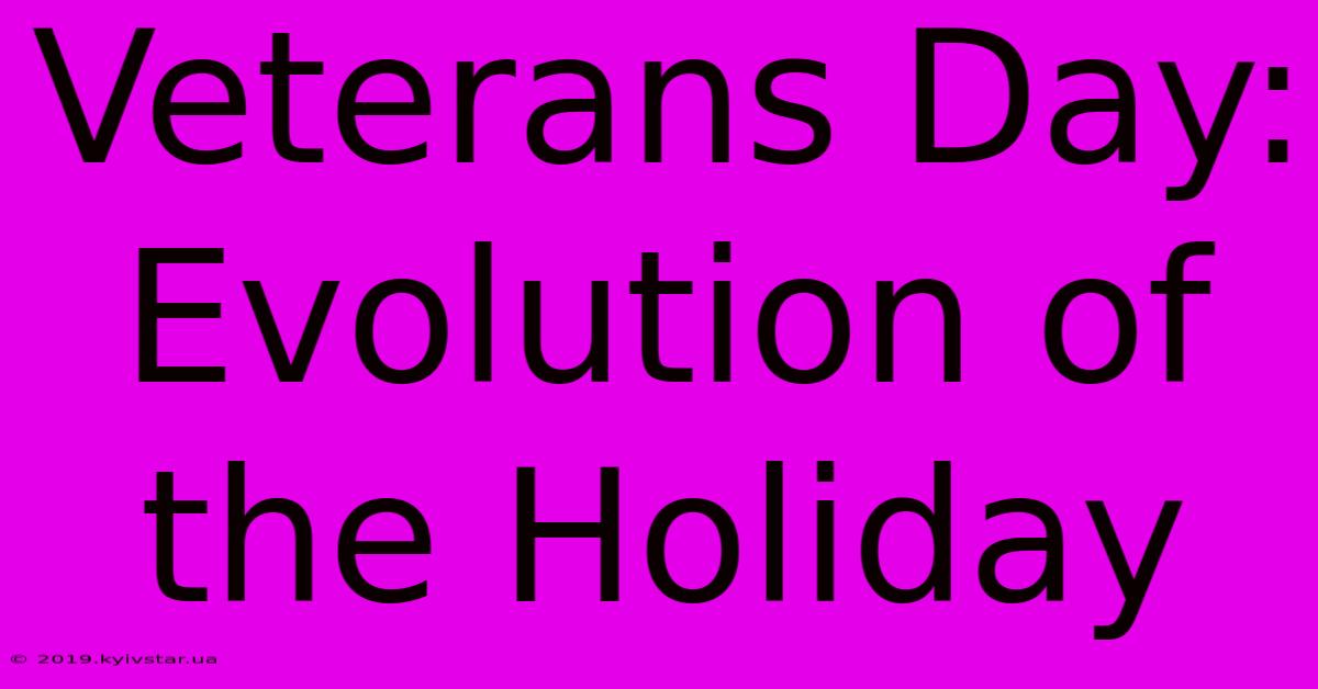 Veterans Day: Evolution Of The Holiday 