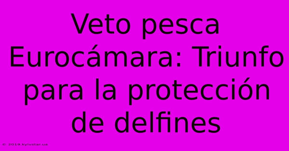 Veto Pesca Eurocámara: Triunfo Para La Protección De Delfines