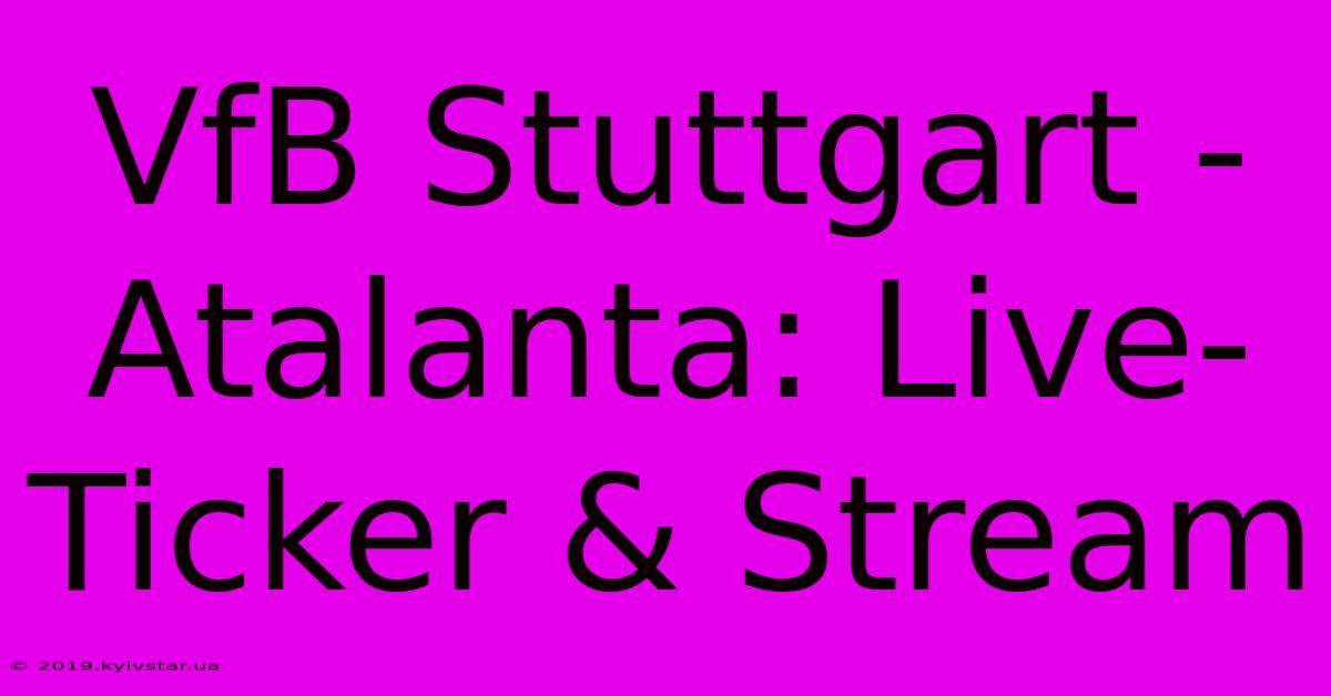 VfB Stuttgart - Atalanta: Live-Ticker & Stream