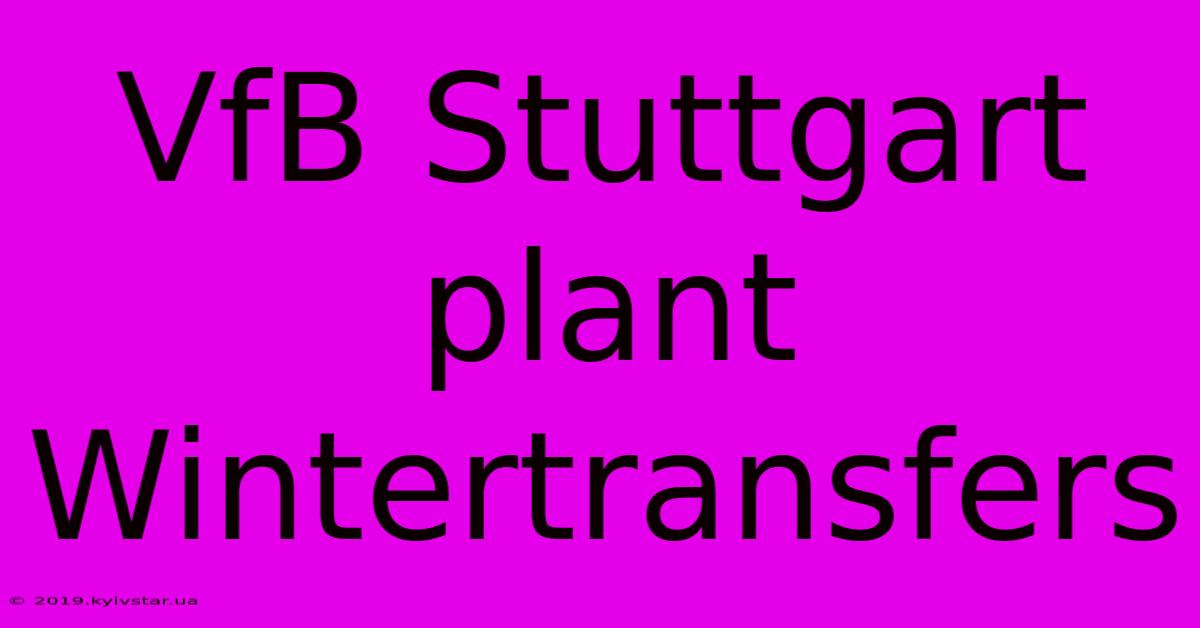 VfB Stuttgart Plant Wintertransfers