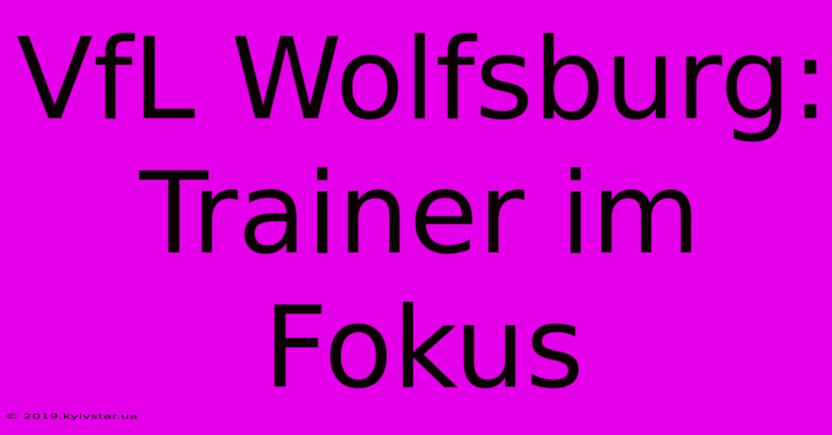 VfL Wolfsburg: Trainer Im Fokus