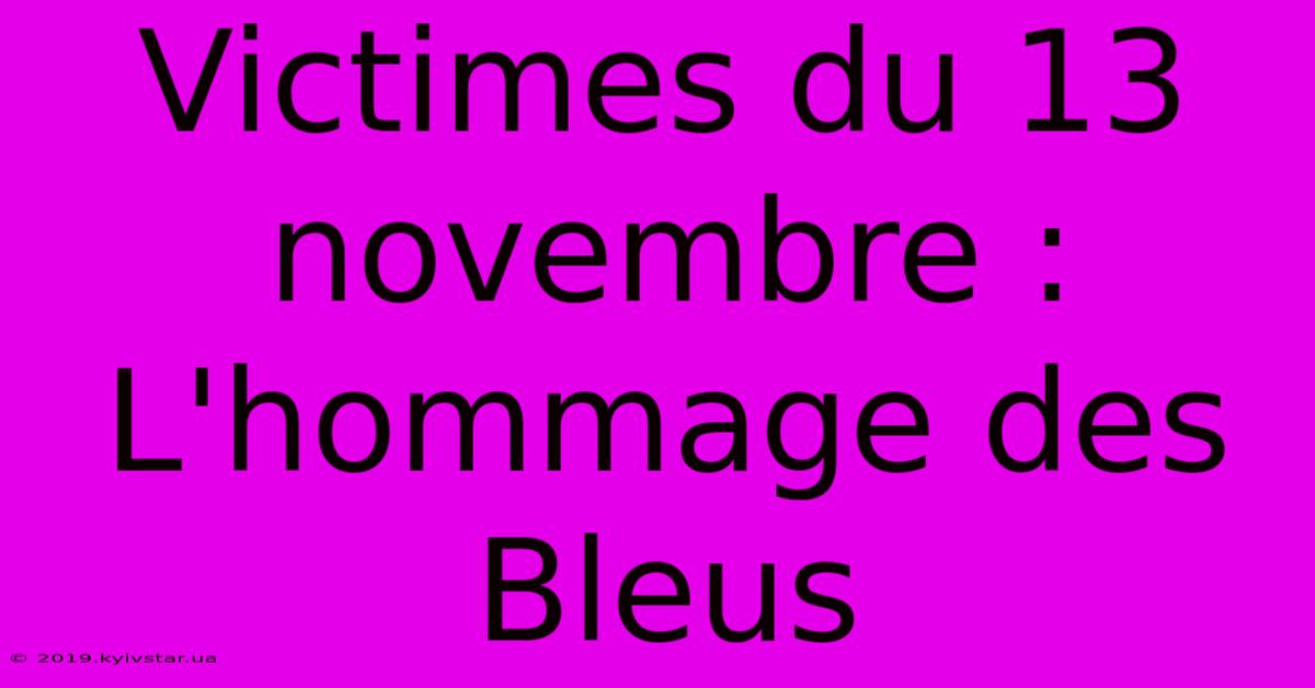 Victimes Du 13 Novembre : L'hommage Des Bleus 