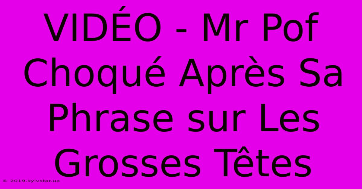 VIDÉO - Mr Pof Choqué Après Sa Phrase Sur Les Grosses Têtes