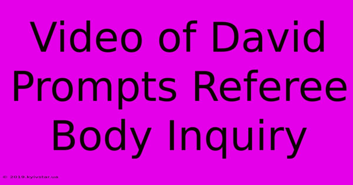 Video Of David Prompts Referee Body Inquiry