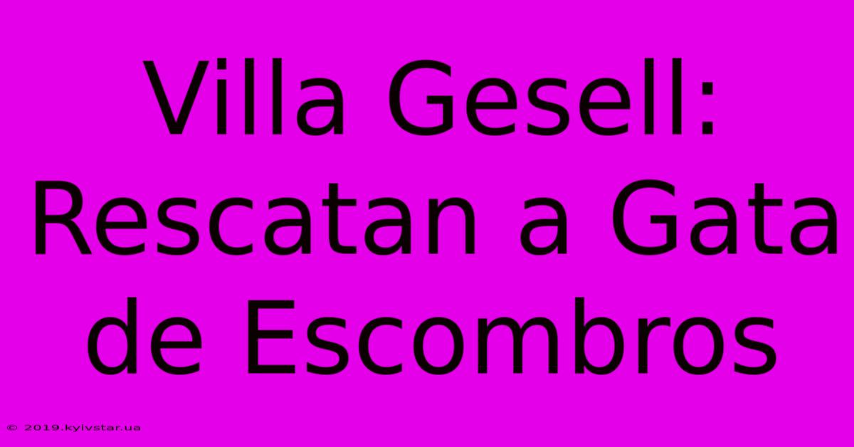 Villa Gesell: Rescatan A Gata De Escombros