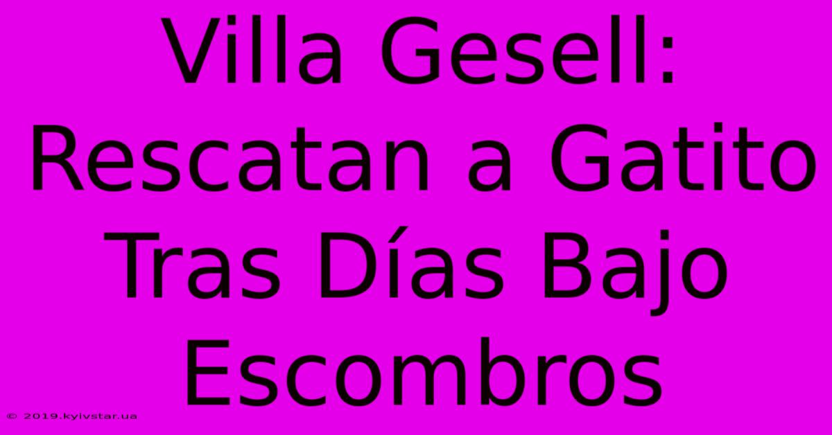 Villa Gesell: Rescatan A Gatito Tras Días Bajo Escombros