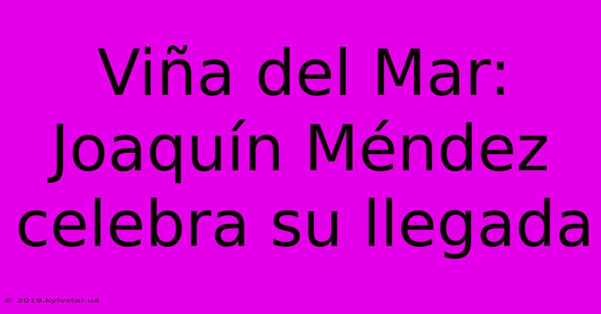 Viña Del Mar: Joaquín Méndez Celebra Su Llegada