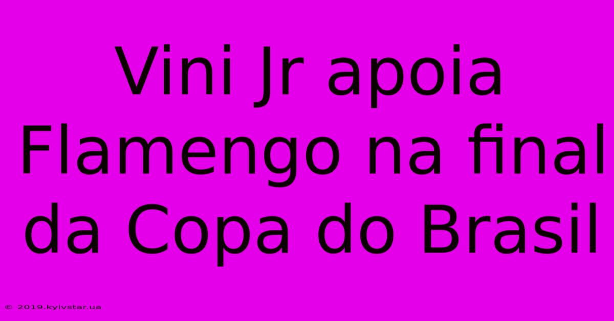 Vini Jr Apoia Flamengo Na Final Da Copa Do Brasil