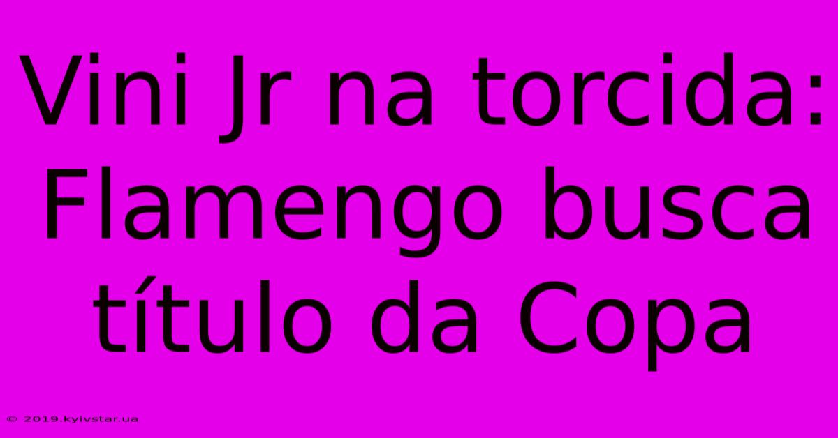 Vini Jr Na Torcida: Flamengo Busca Título Da Copa