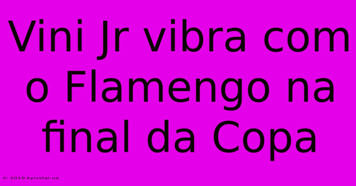 Vini Jr Vibra Com O Flamengo Na Final Da Copa