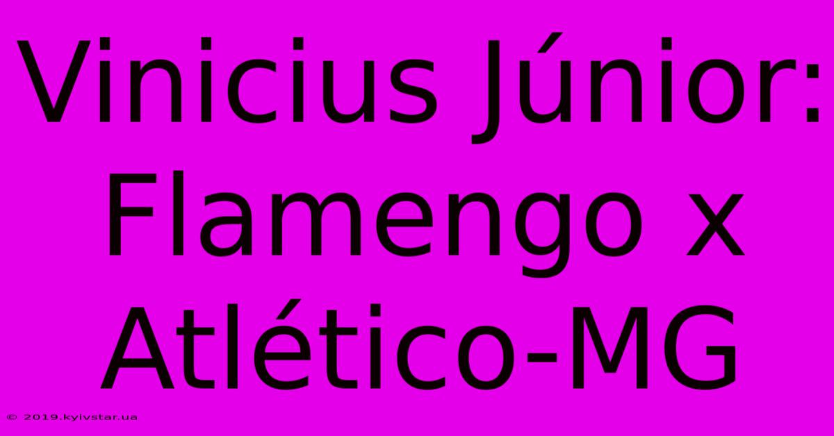 Vinicius Júnior: Flamengo X Atlético-MG